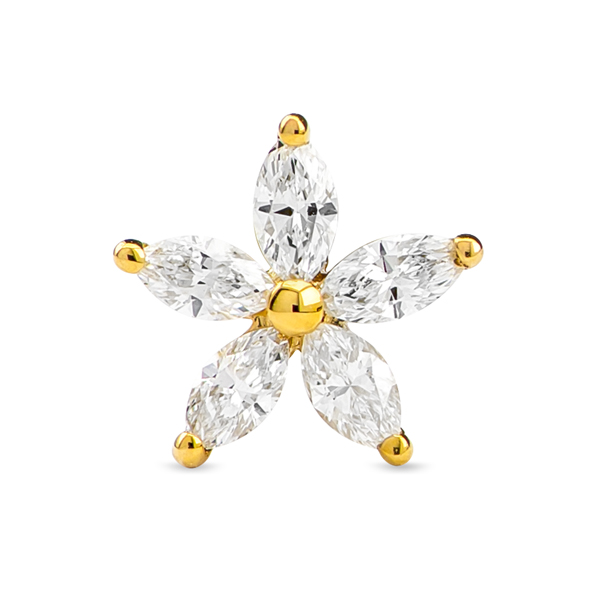 5 Marquise Star Stud Earrings Yellow Gold