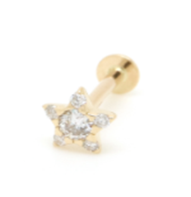 Little Star Stud Earrings Yellow Gold