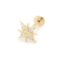 Suhail Stud Earrings Yellow Gold